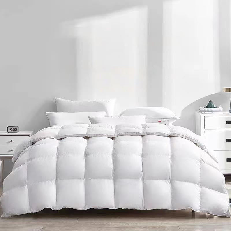 Classic 300-Thread Count Cotton Down Duvet Insert