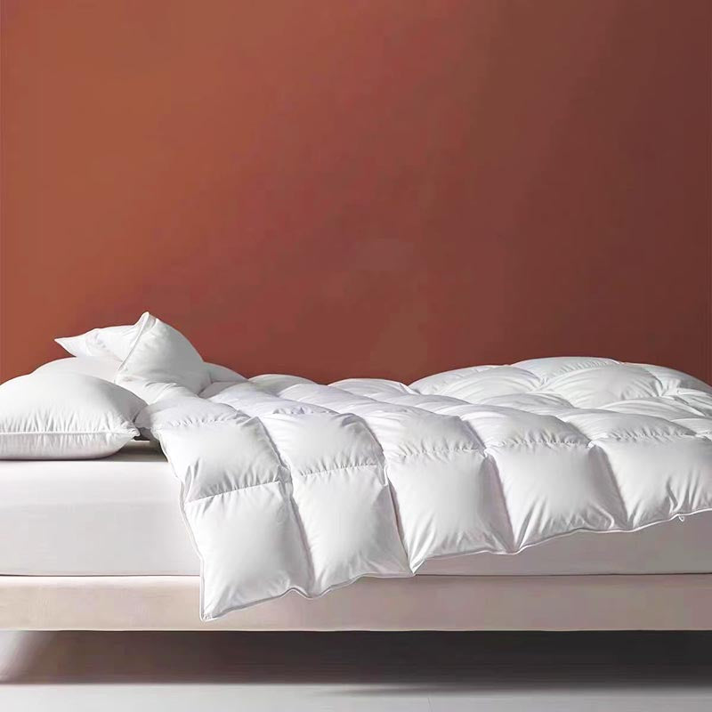 Classic 300-Thread Count Cotton Down Duvet Insert