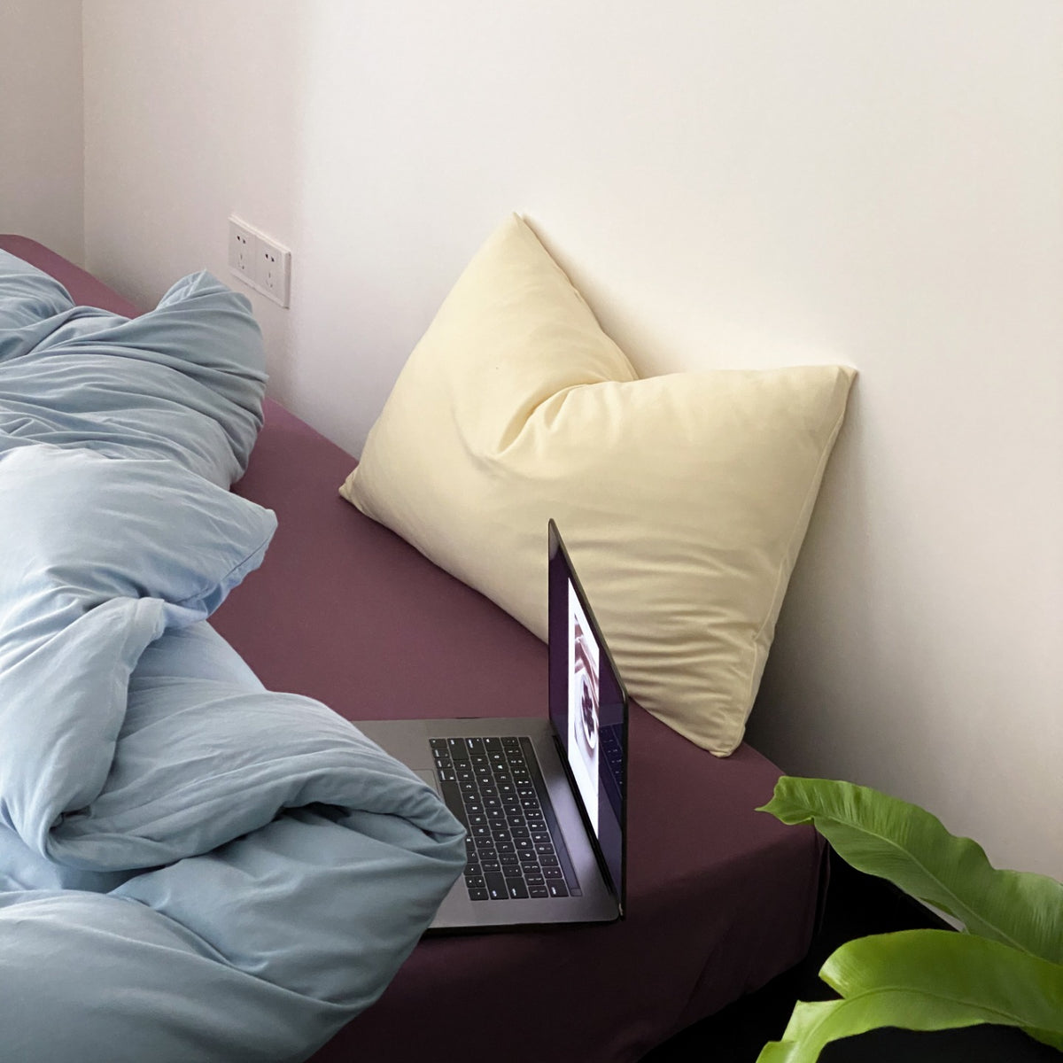 Everyday Contrast Cotton Jersey Bedding Set original reference image 5