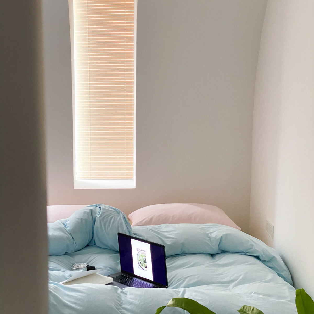 Everyday Contrast Cotton Jersey Bedding Set original reference image 29